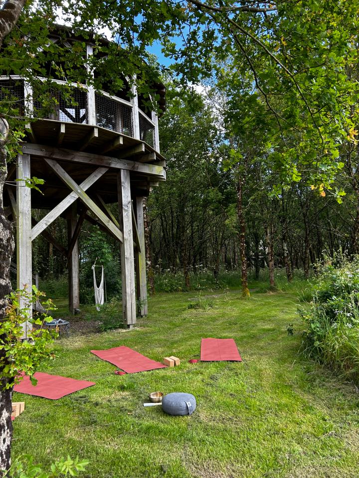 Hôte GreenGo: Cabane Le repaire du hibou - Image 28