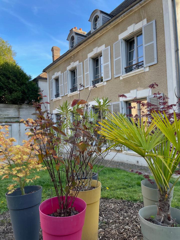 Le Petit Monde de Molly