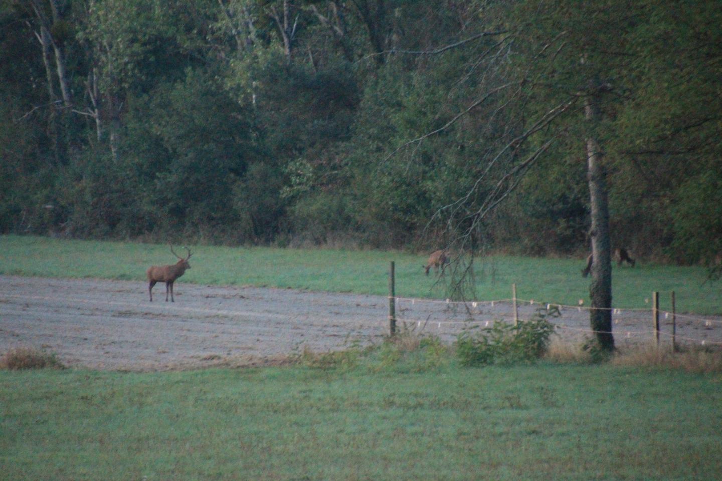 Hôte GreenGo: Gîte et Cab'Âne de Medeina - Image 17