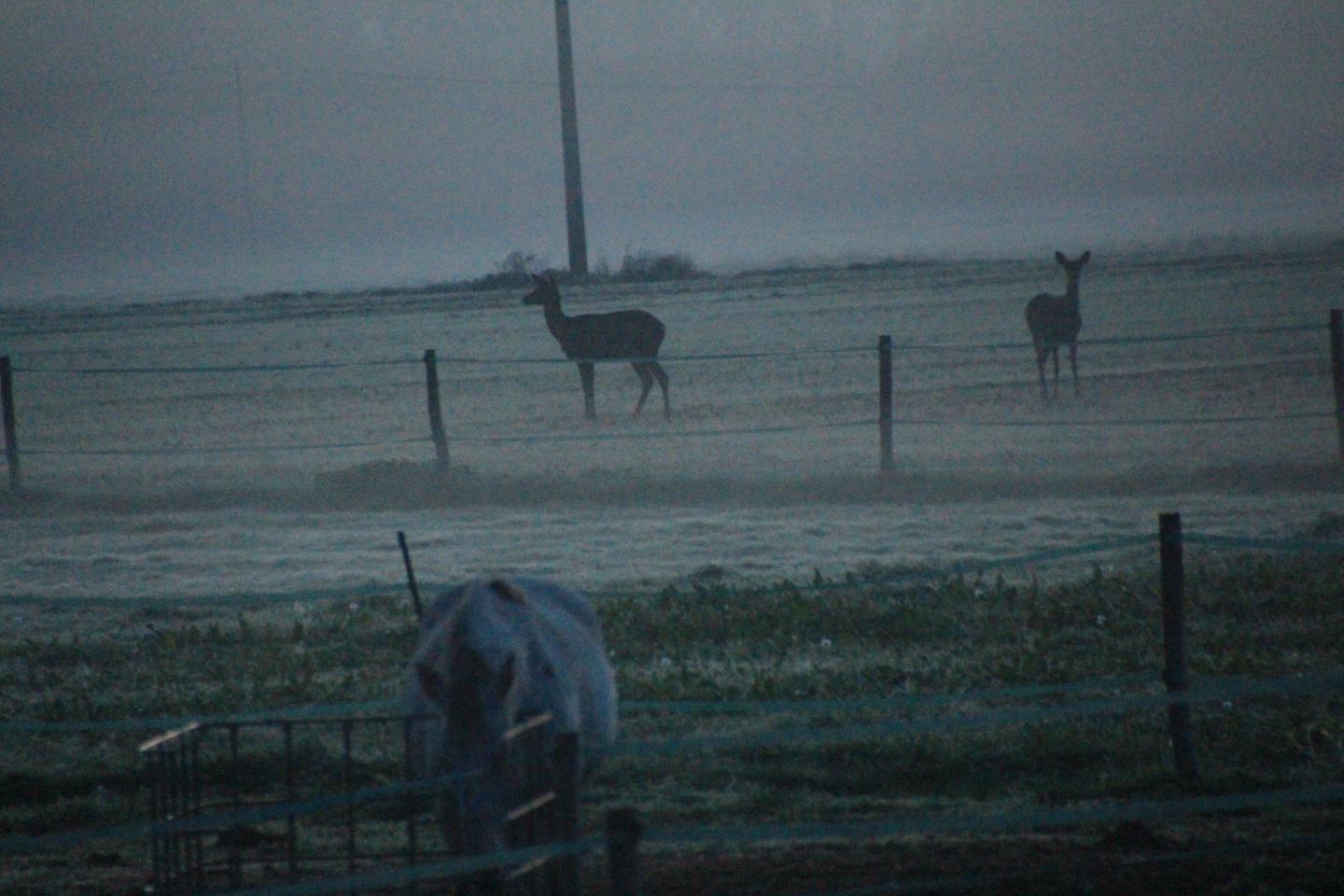 Hôte GreenGo: Gîte et Cab'Âne de Medeina - Image 15