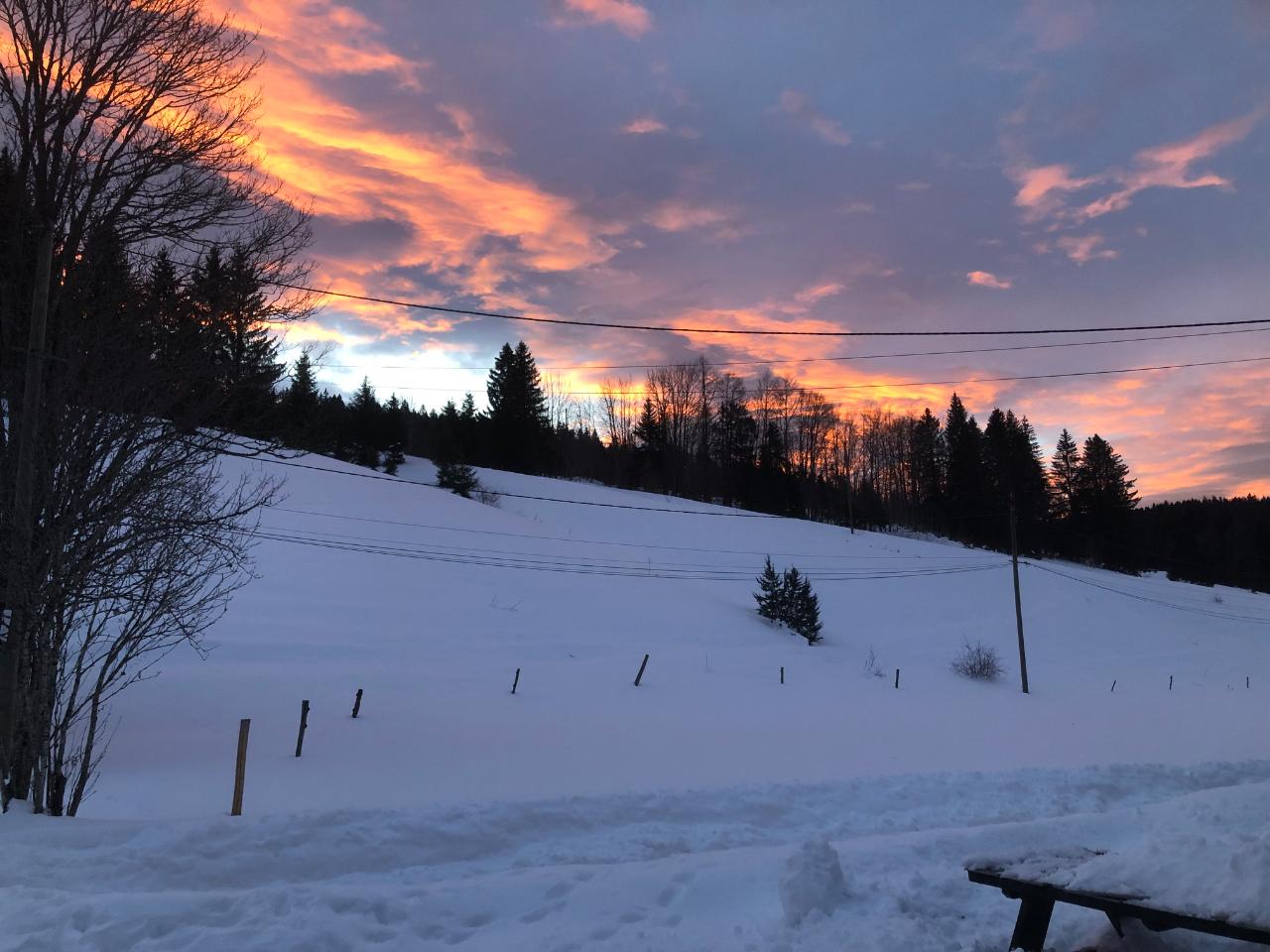 C’était bien… chez Laurette (la Ferme des Mondes)