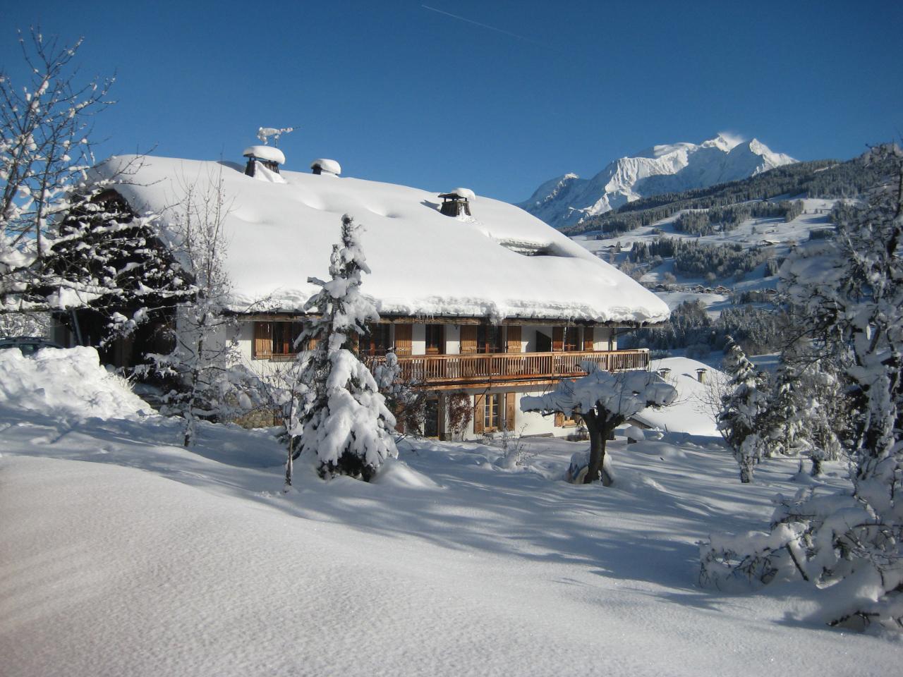 Hôte GreenGo: Appartements 60m2 et 150m2 modernes dans un typique chalet de famille - vue Mont Blanc & terrasse