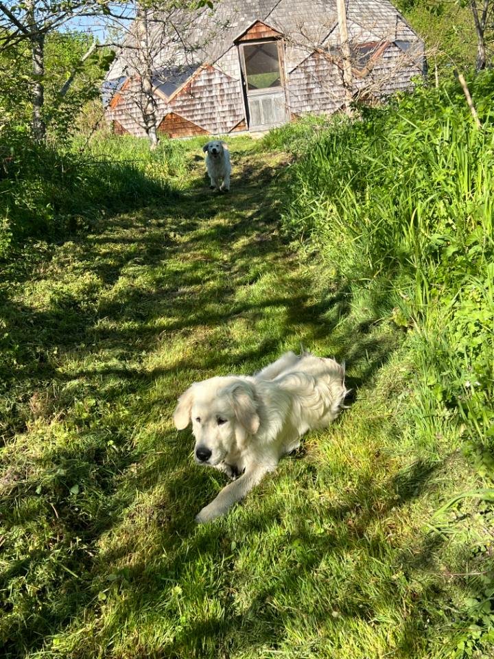 GreenGo Chambre d’hôtes Centre-Val de Loire Évasion