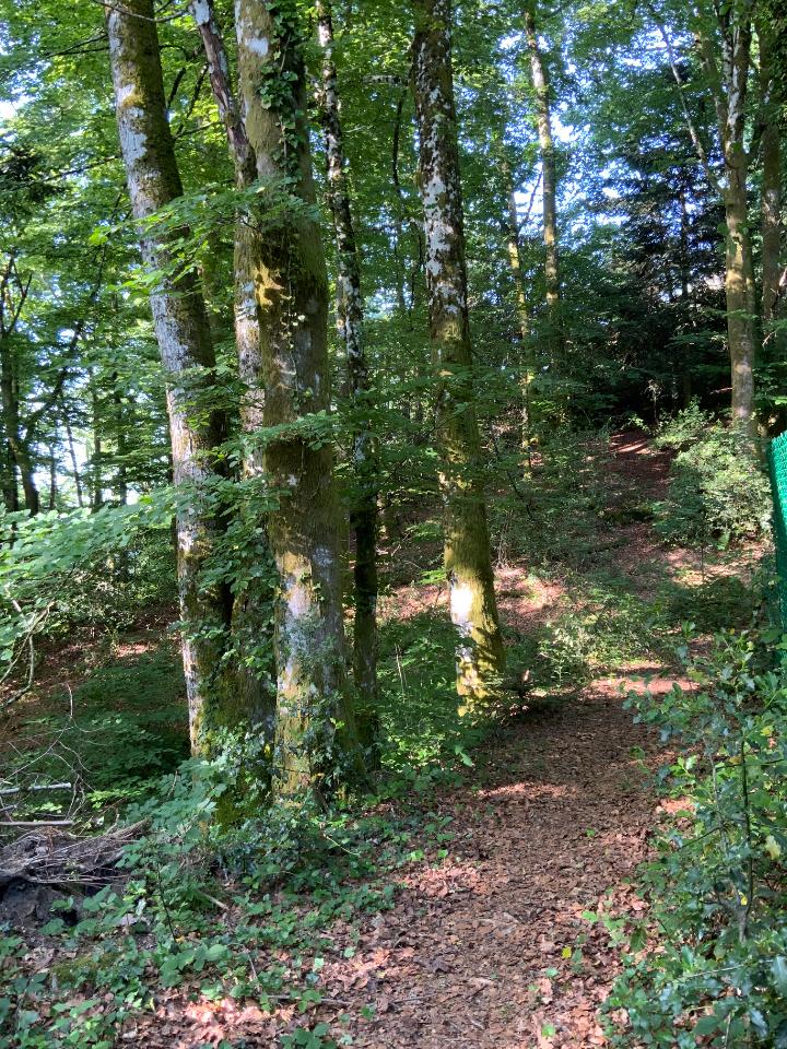GreenGo location vacances écoresponsables