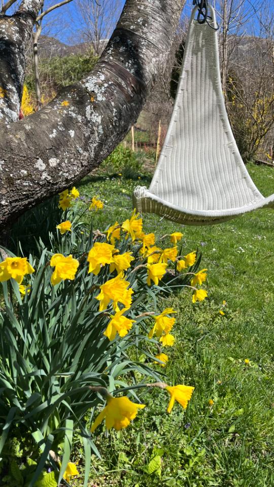 Logement insolite Drôme En forêt