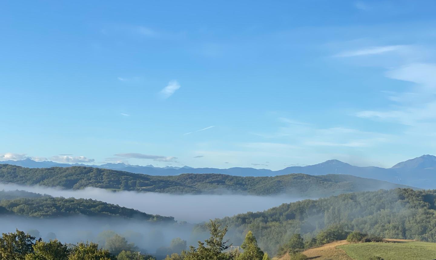 Carte cadeau GreenGo