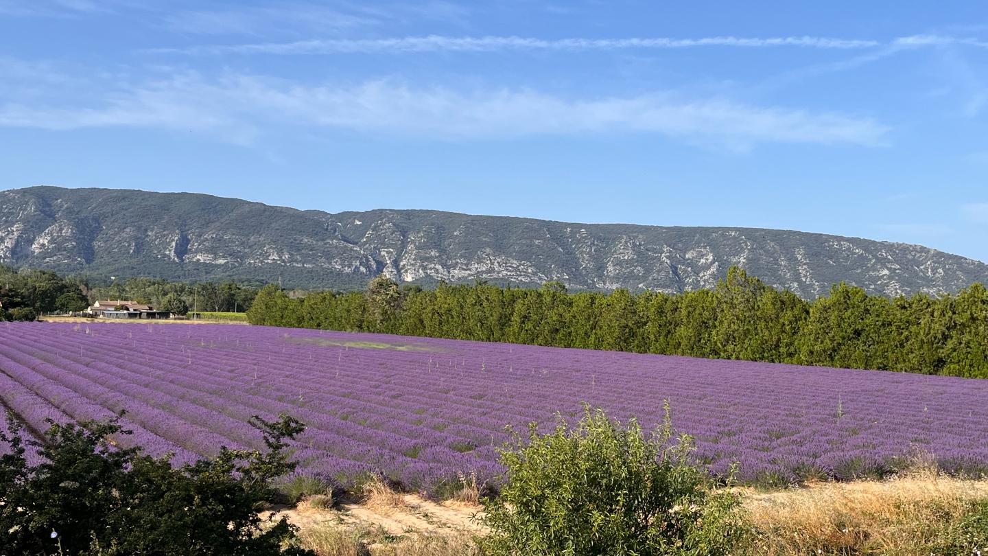Hôte GreenGo: Le 52 en Provence - Chambres d’hôtes dans Authentique Mas de Village avec Piscine - Image 24
