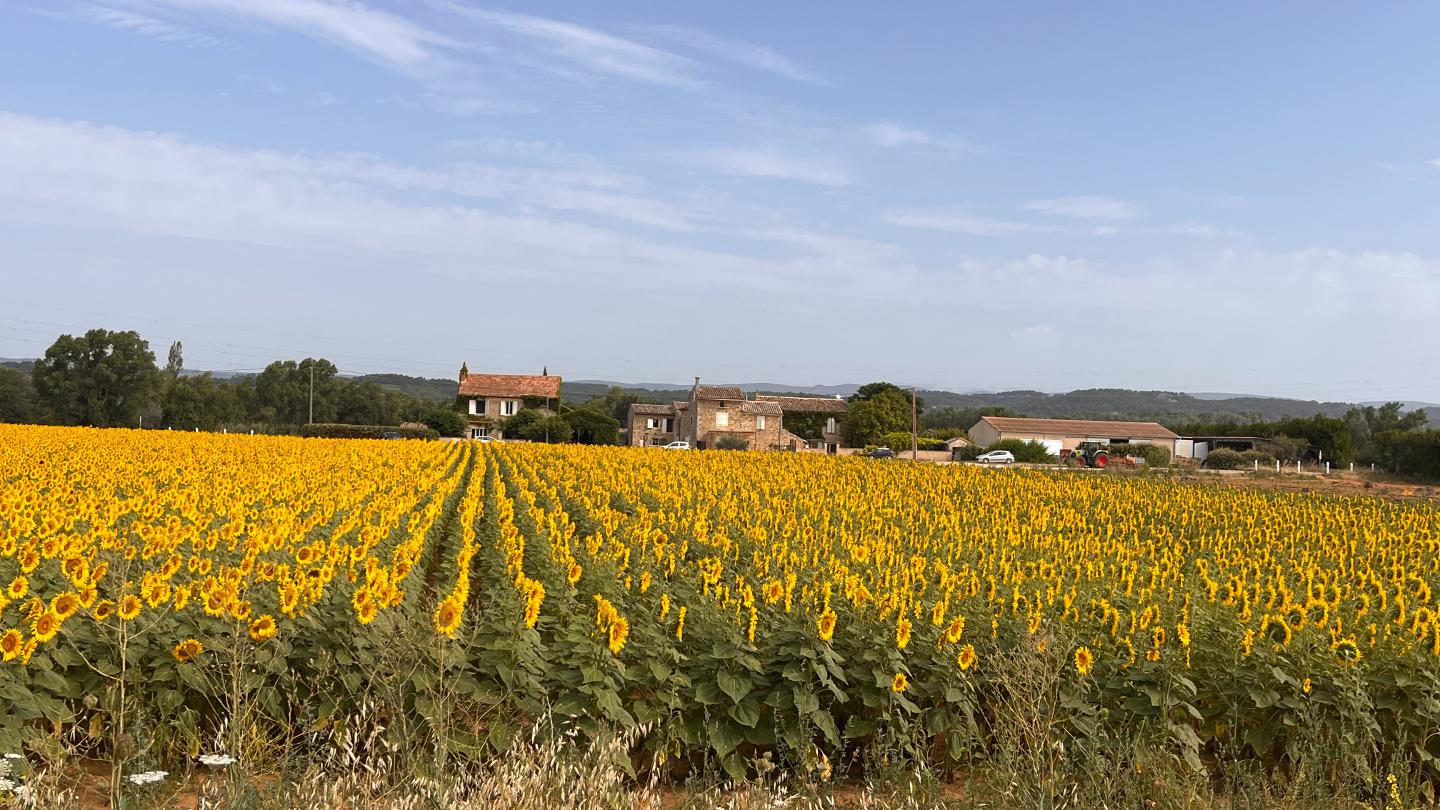 Hôte GreenGo: Le 52 en Provence - Chambres d’hôtes dans Authentique Mas de Village avec Piscine - Image 31