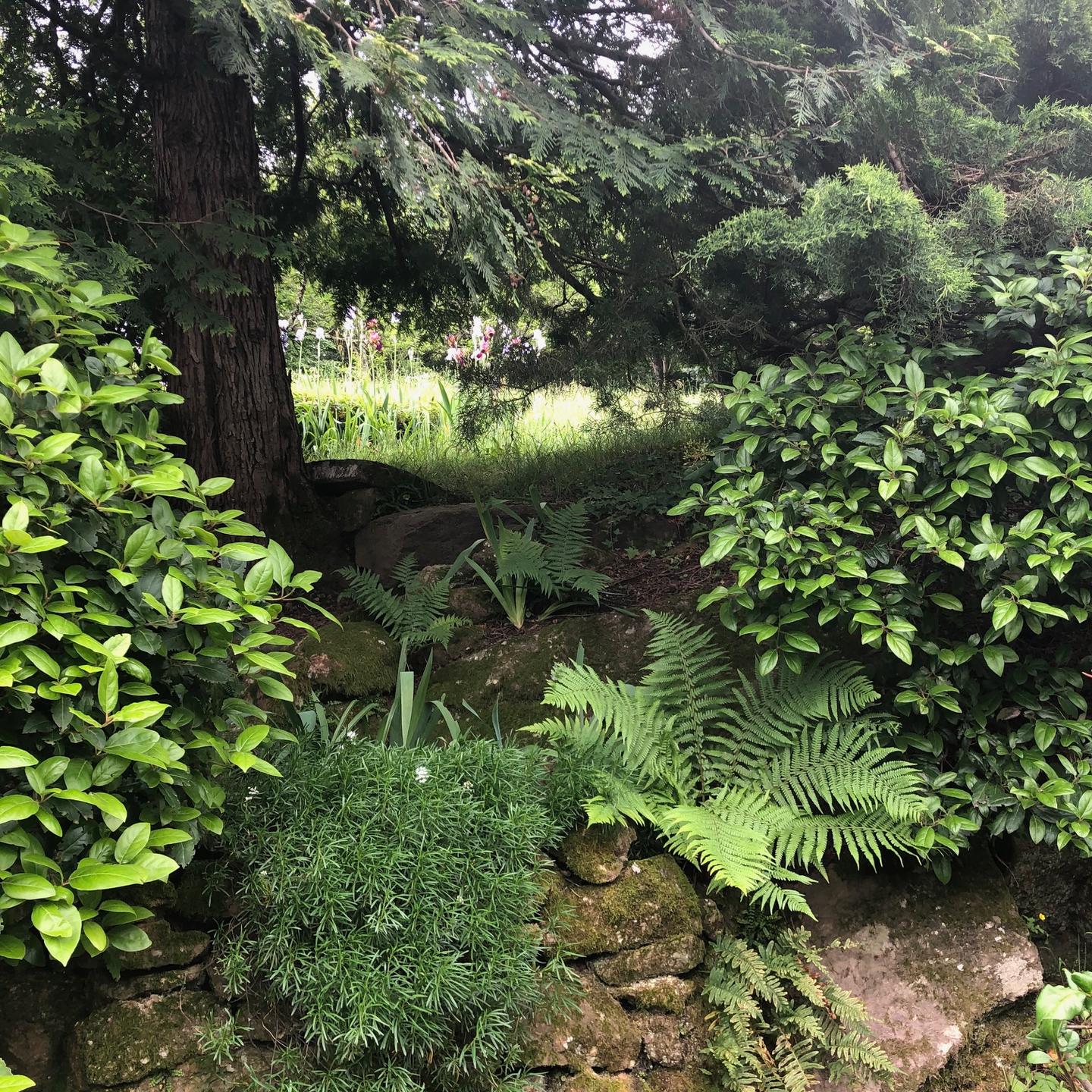 GreenGo Gîte Occitanie À la campagne