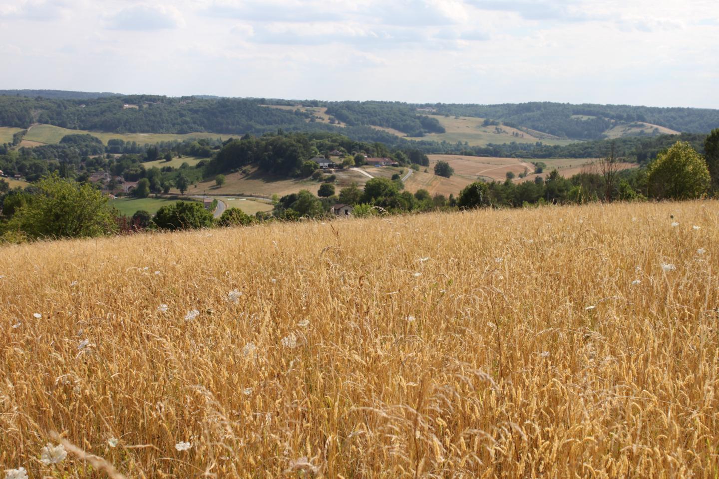 GreenGo location vacances écoresponsables