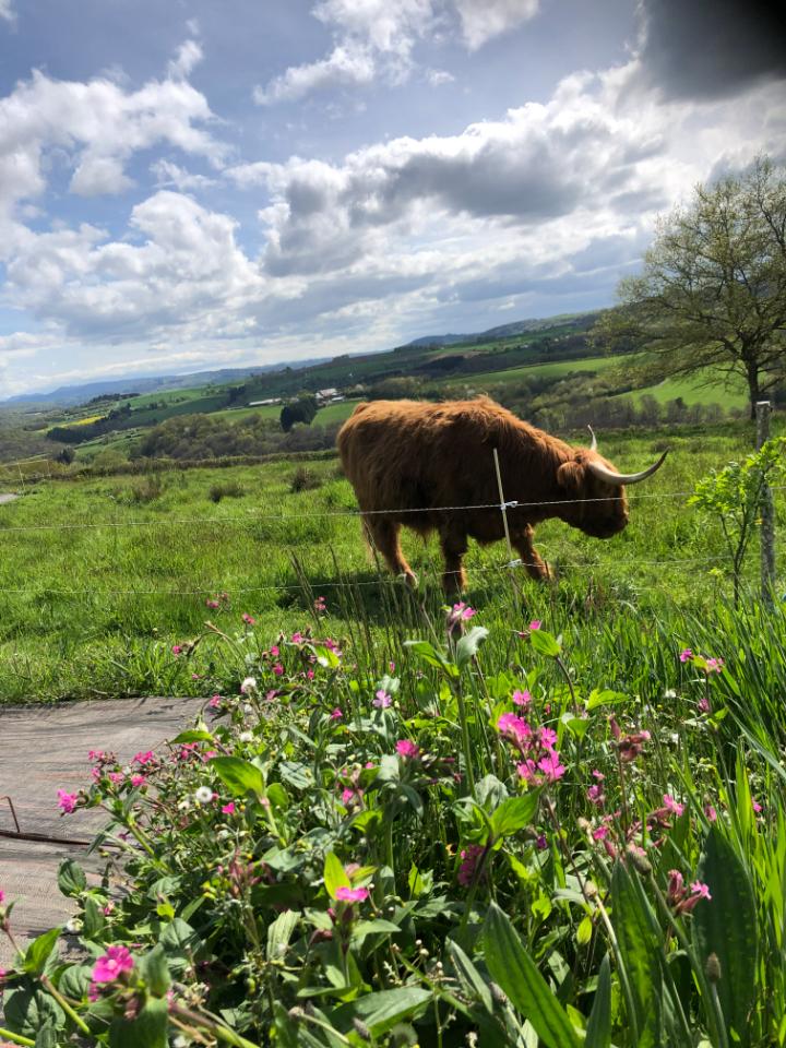 Puy-de-Dôme À la campagne