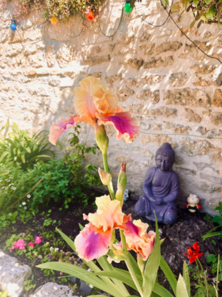 Charente-Maritime En famille