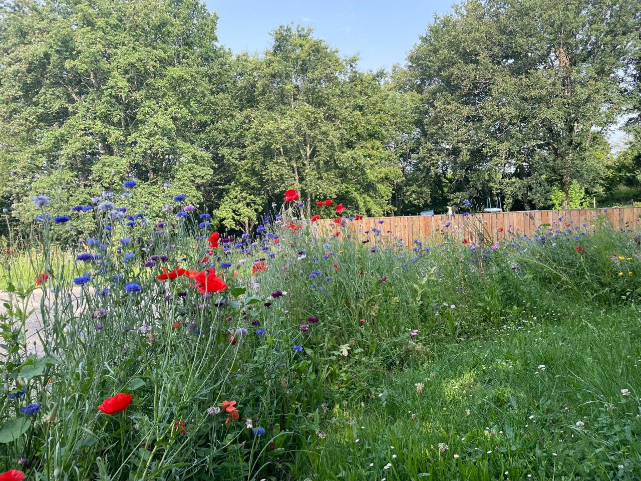 GreenGo location vacances écoresponsables