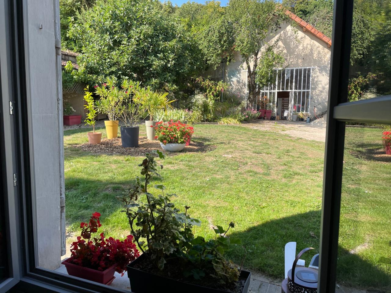 GreenGo Le Petit Monde de Molly