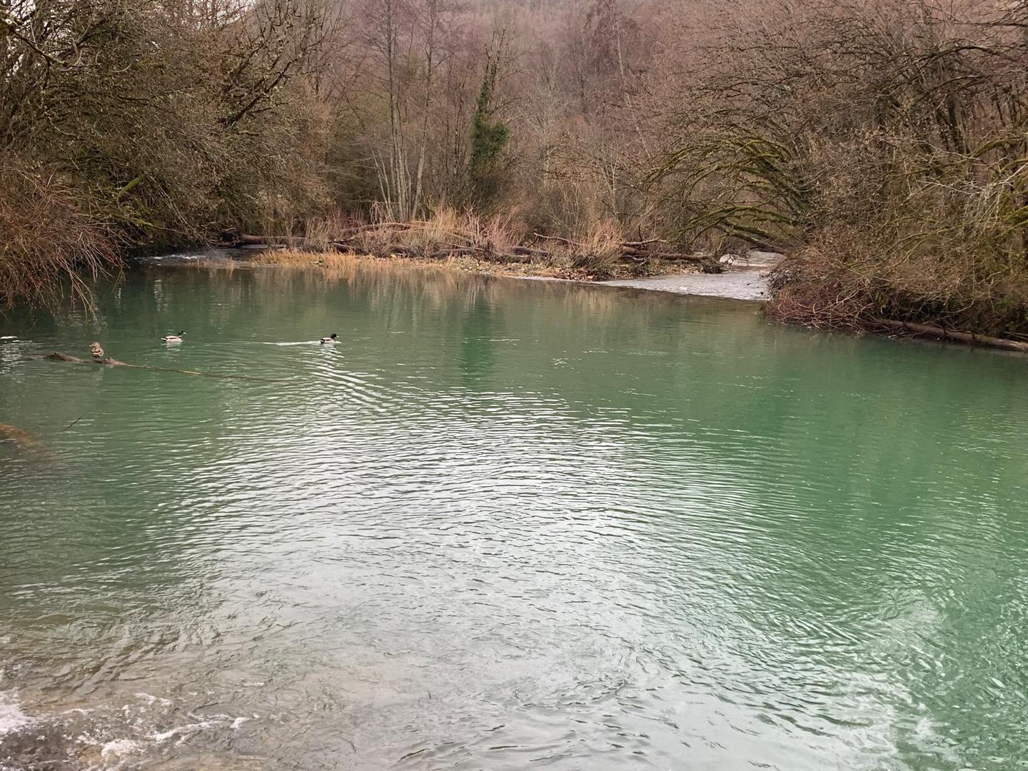 GreenGo location vacances écoresponsables