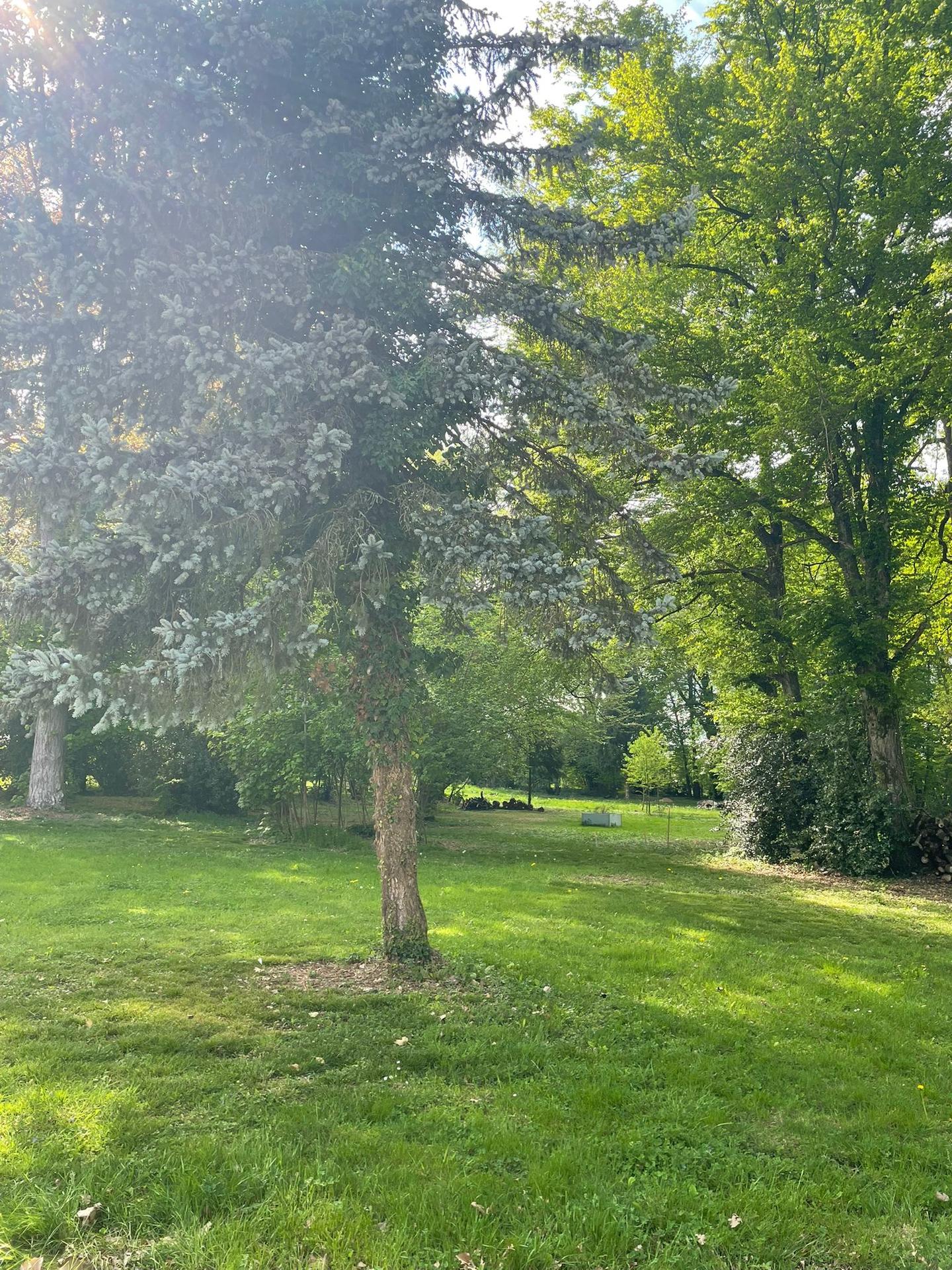 Ecolodge Isère En forêt