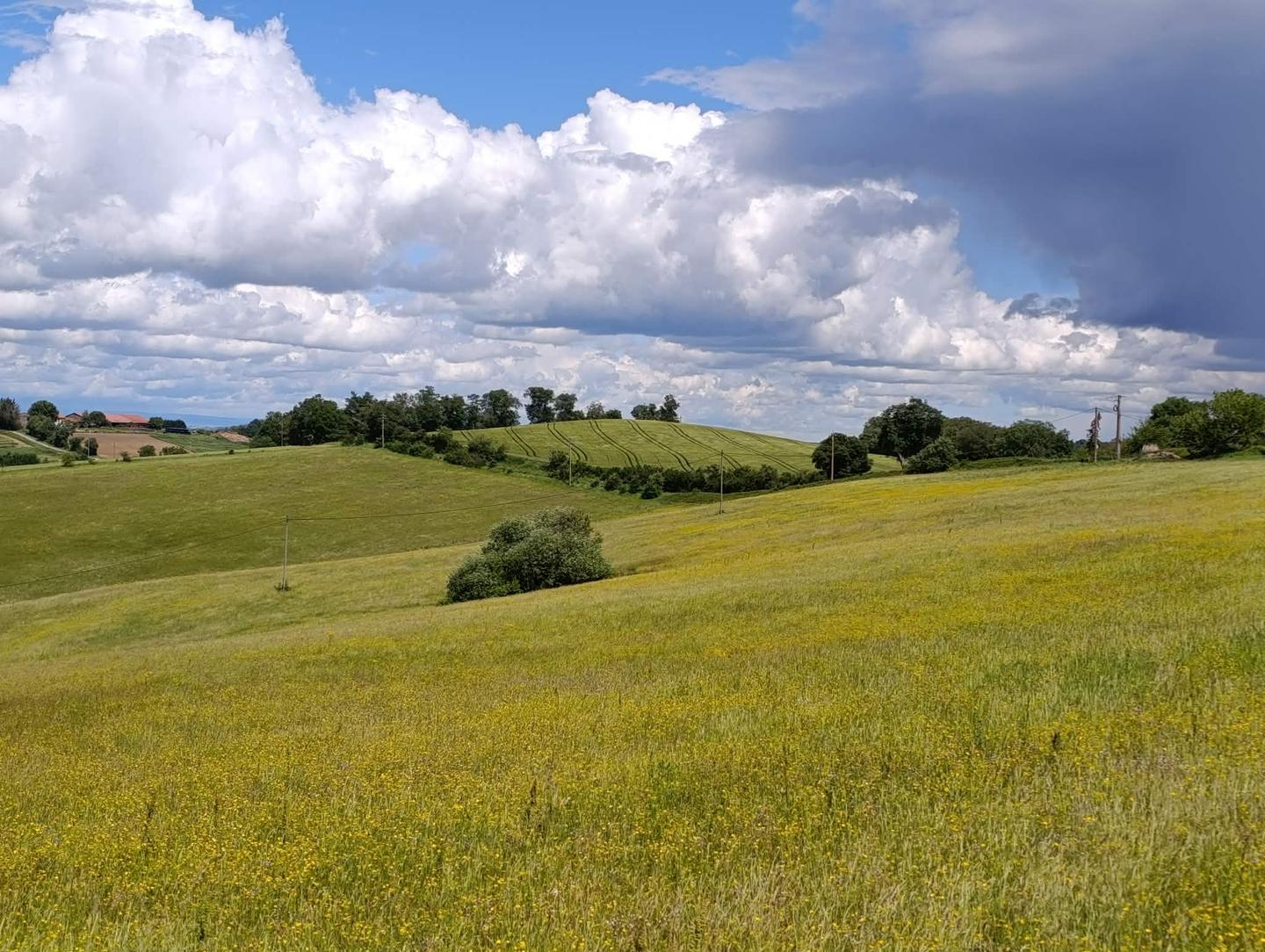 Une ferme dans les coteaux à Saverdun