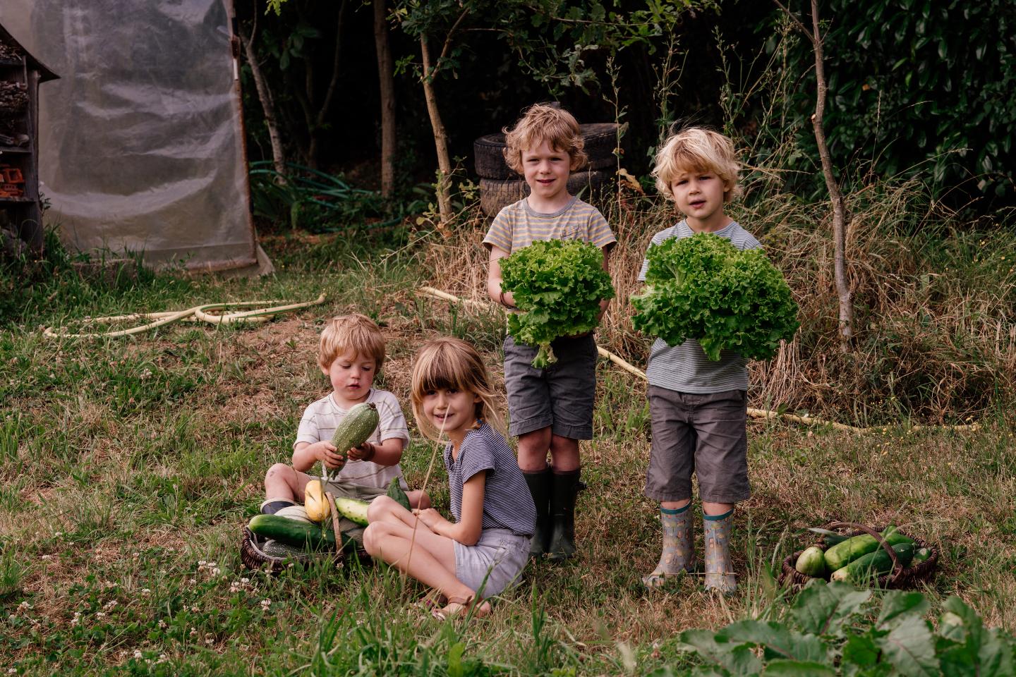 Hôte GreenGo: Écolodges à la ferme de la Flocellière - Image 21