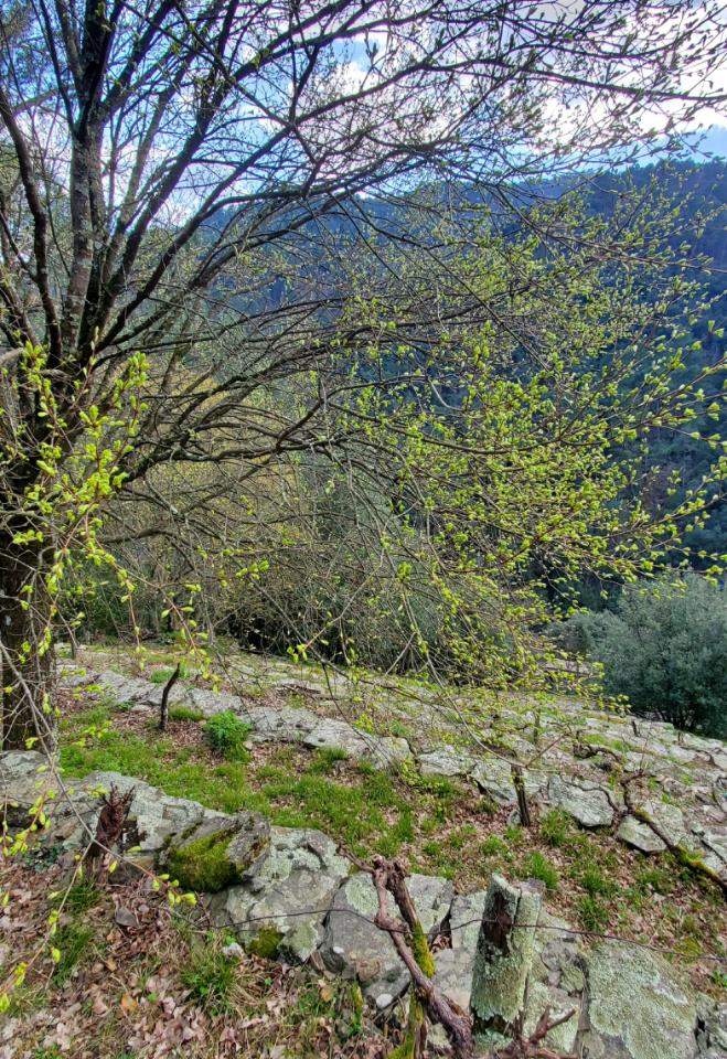 Ardèche À la campagne