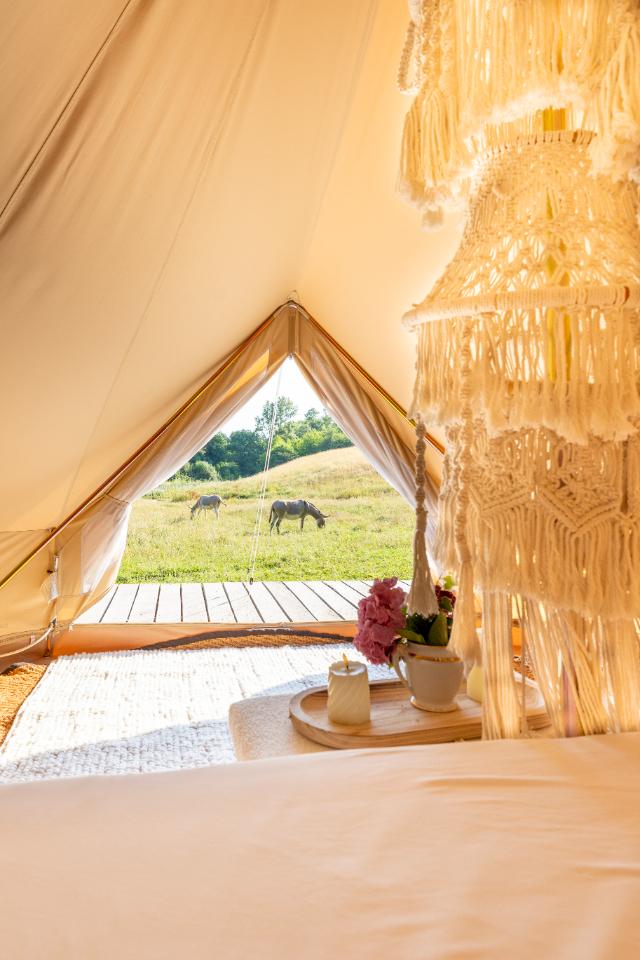 Carte cadeau GreenGo