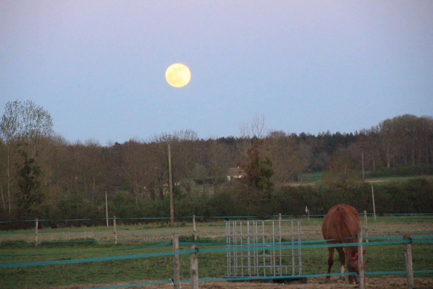 Hôte GreenGo: Gîte et Cab'Âne de Medeina - Image 14