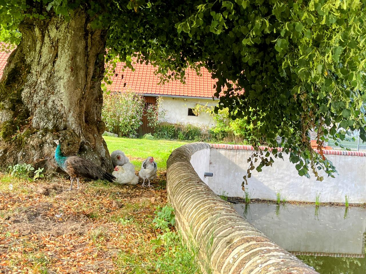 GreenGo location vacances écoresponsables