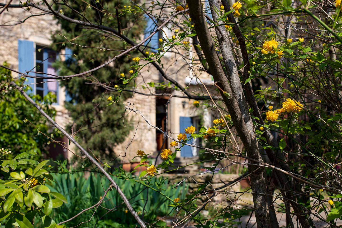 Hôte GreenGo: Gites Provence et Nature - séjours de rêve Luberon Monts de Vaucluse - Image 22