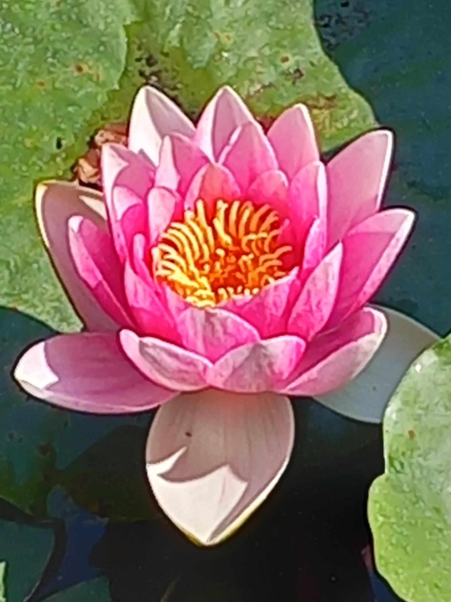 GreenGo À la Mémoire de Merlin