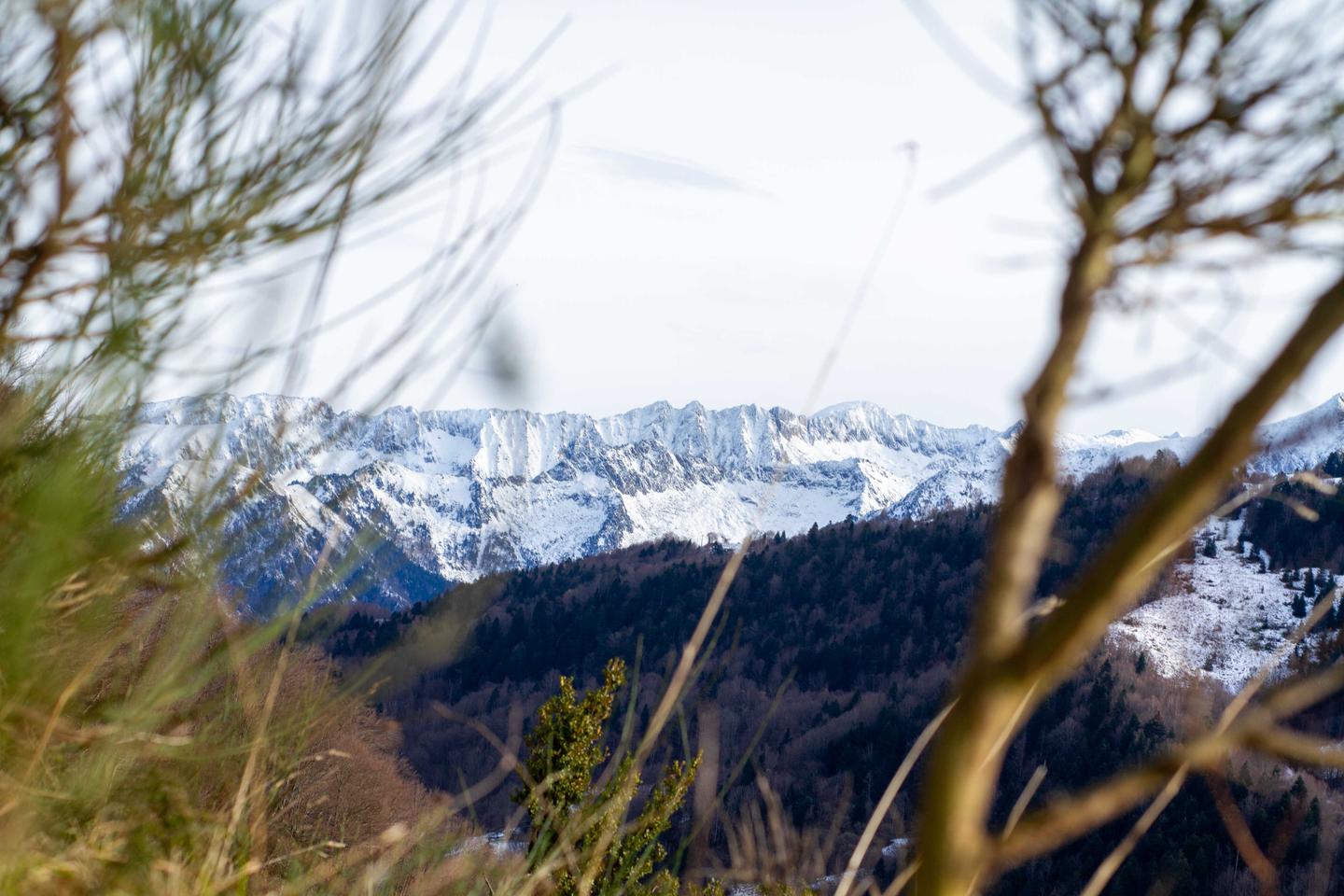 GreenGo Les cabanes d'Agéou, gîte et table d'hôte