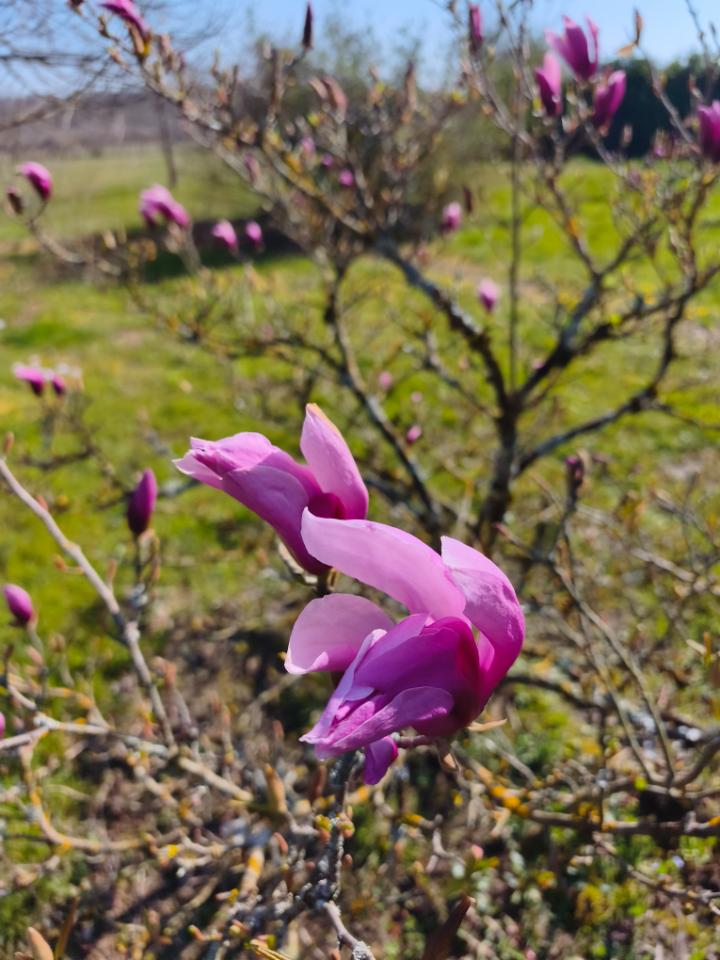 Carte cadeau GreenGo