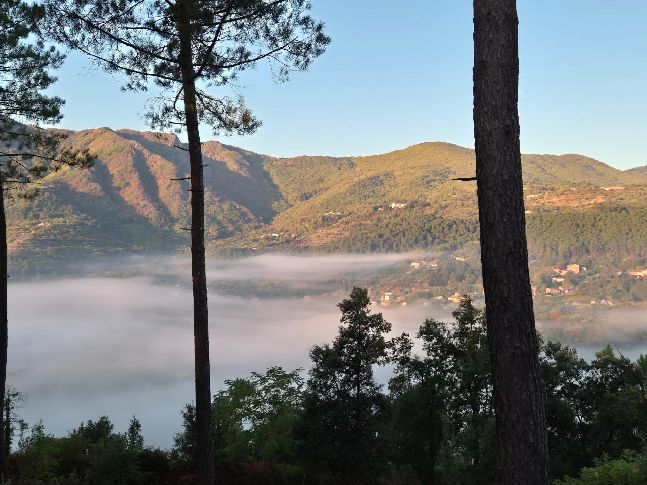 GreenGo location vacances écoresponsables