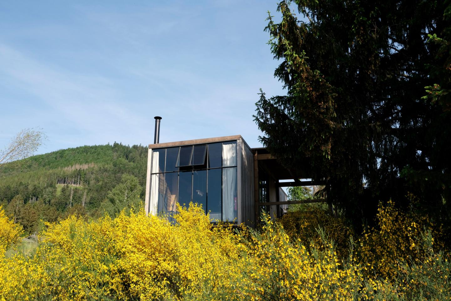 Hôte GreenGo: Cabane avec bain nordique pour 6 personnes en Alsace - Image 2