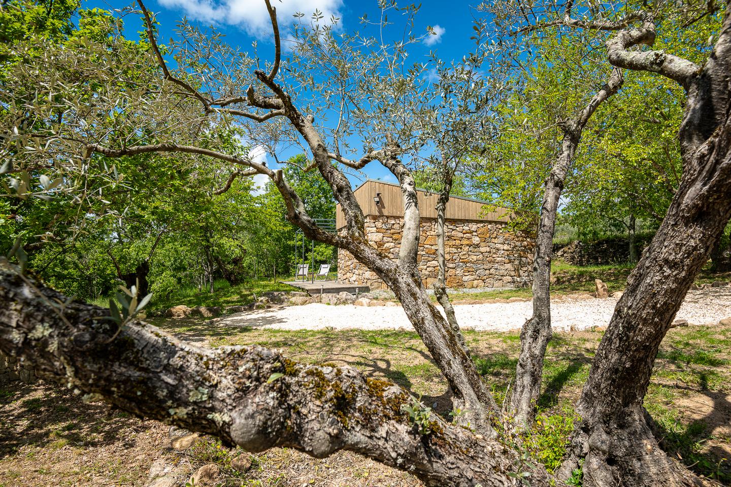 Carte cadeau GreenGo