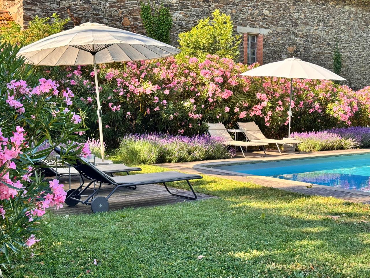 GreenGo Chambre d’hôtes Occitanie Évasion