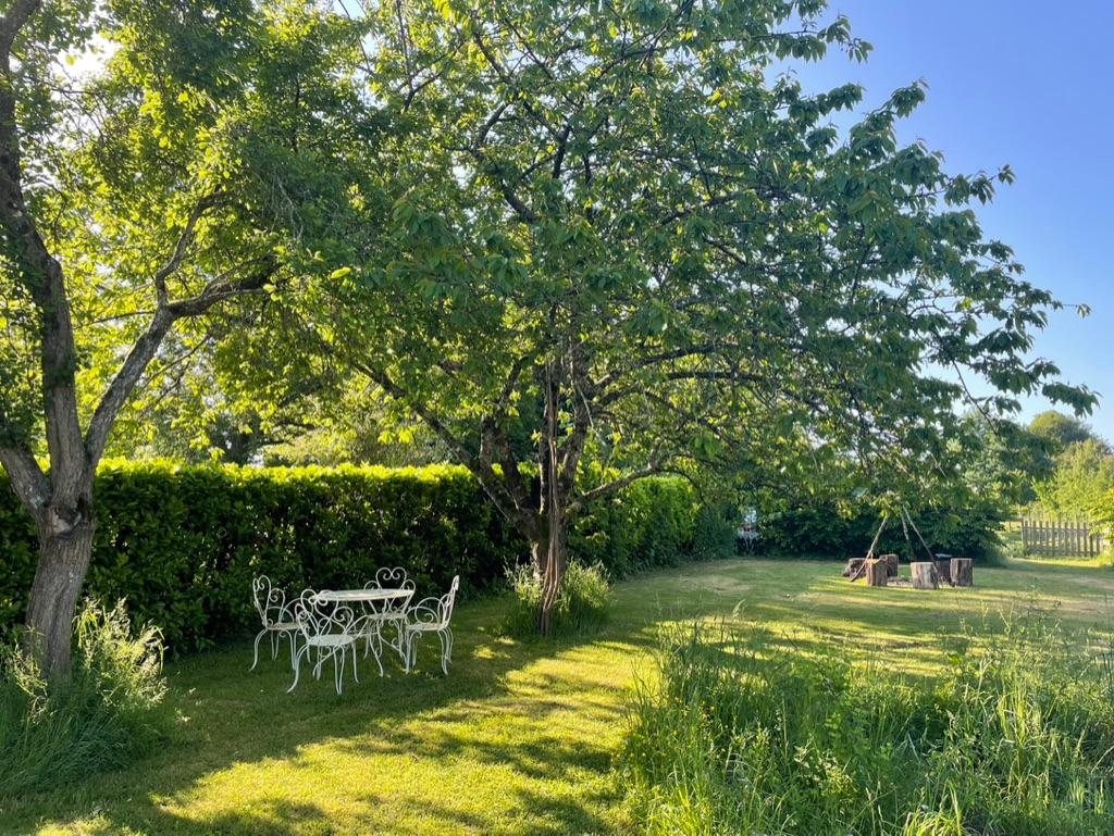 Carte cadeau GreenGo