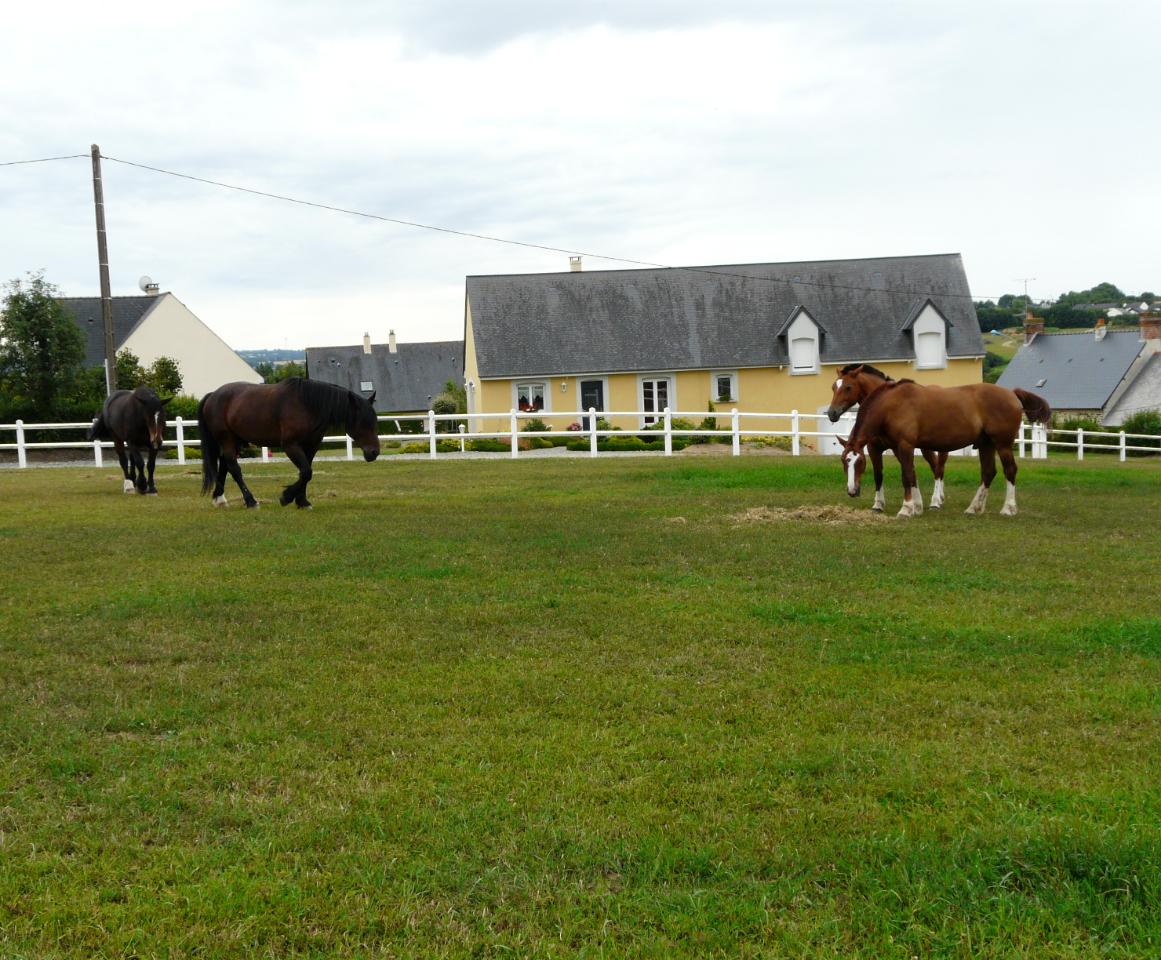 GreenGo Chambre d'hôtes "le pot au lait" dans les Alpes Mancelles