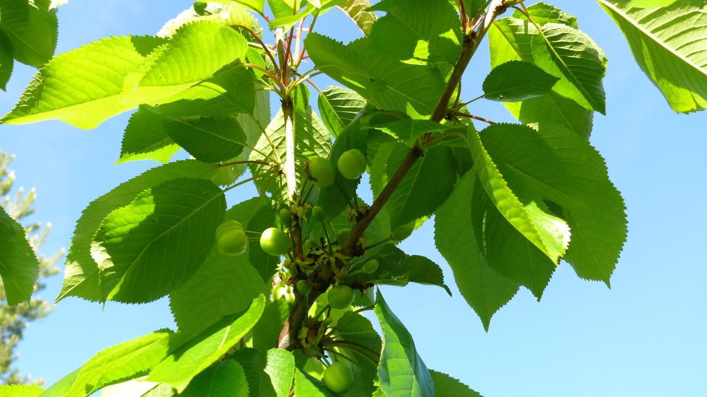  Aveyron À la campagne