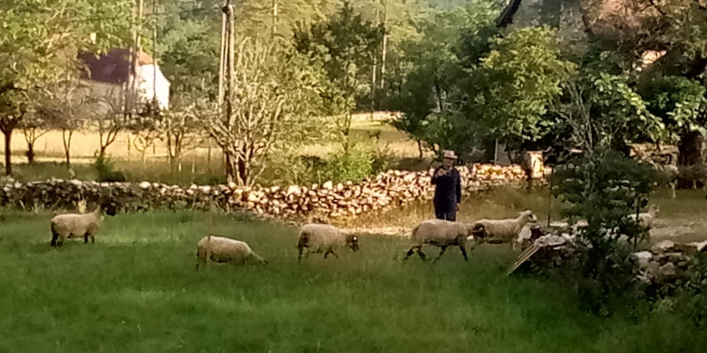 Lot À la campagne