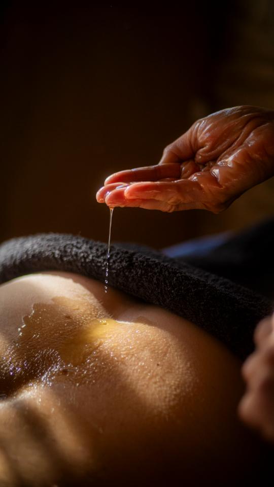 GreenGo Magnifique yourte Nature et soins pour se ressourcer