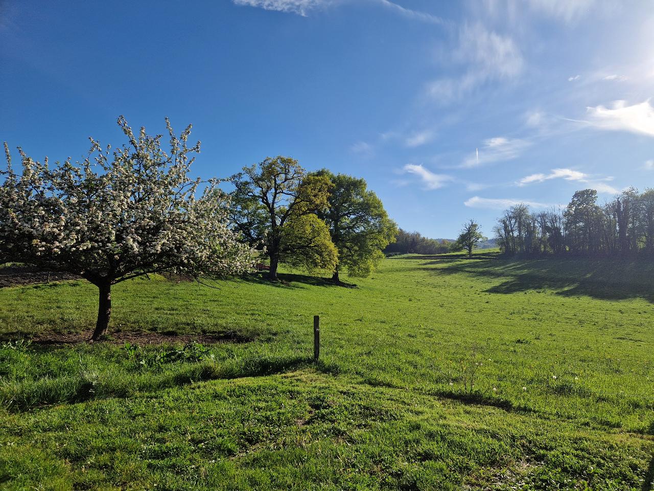 GreenGo location vacances écoresponsables