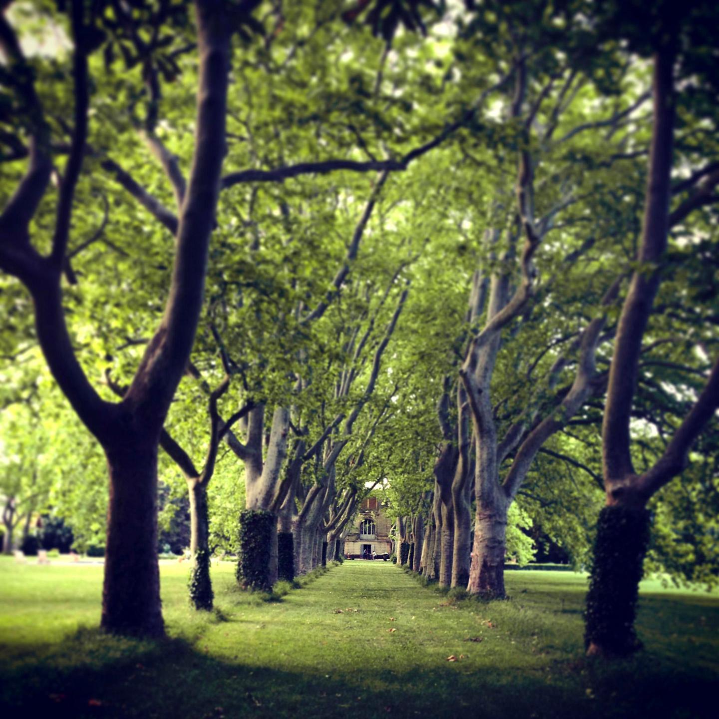 Le domaine de Montlaur
