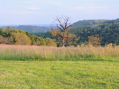 Carte cadeau GreenGo