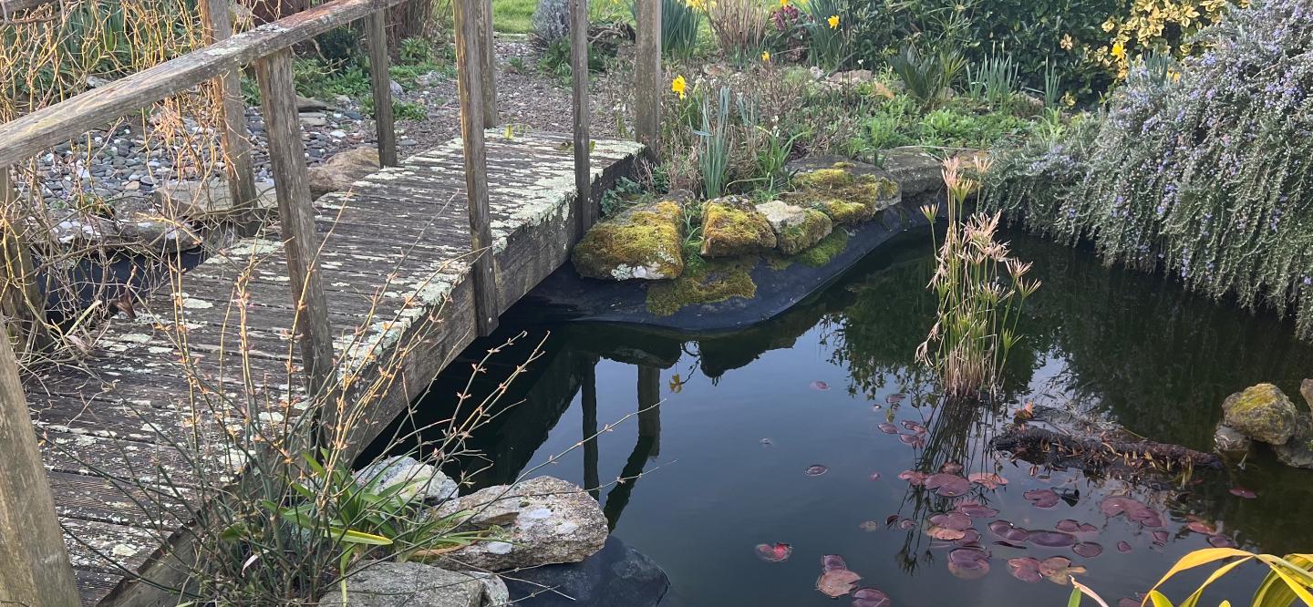 Carte cadeau GreenGo