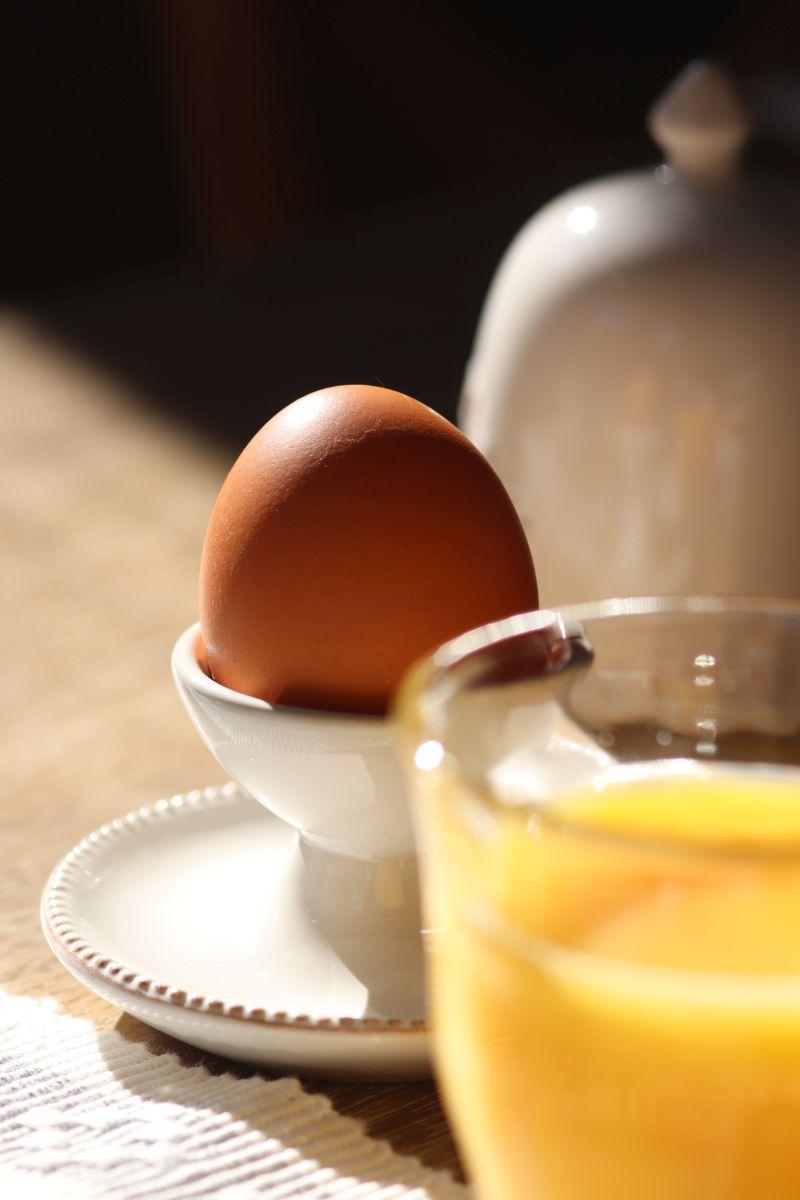 GreenGo location vacances écoresponsables