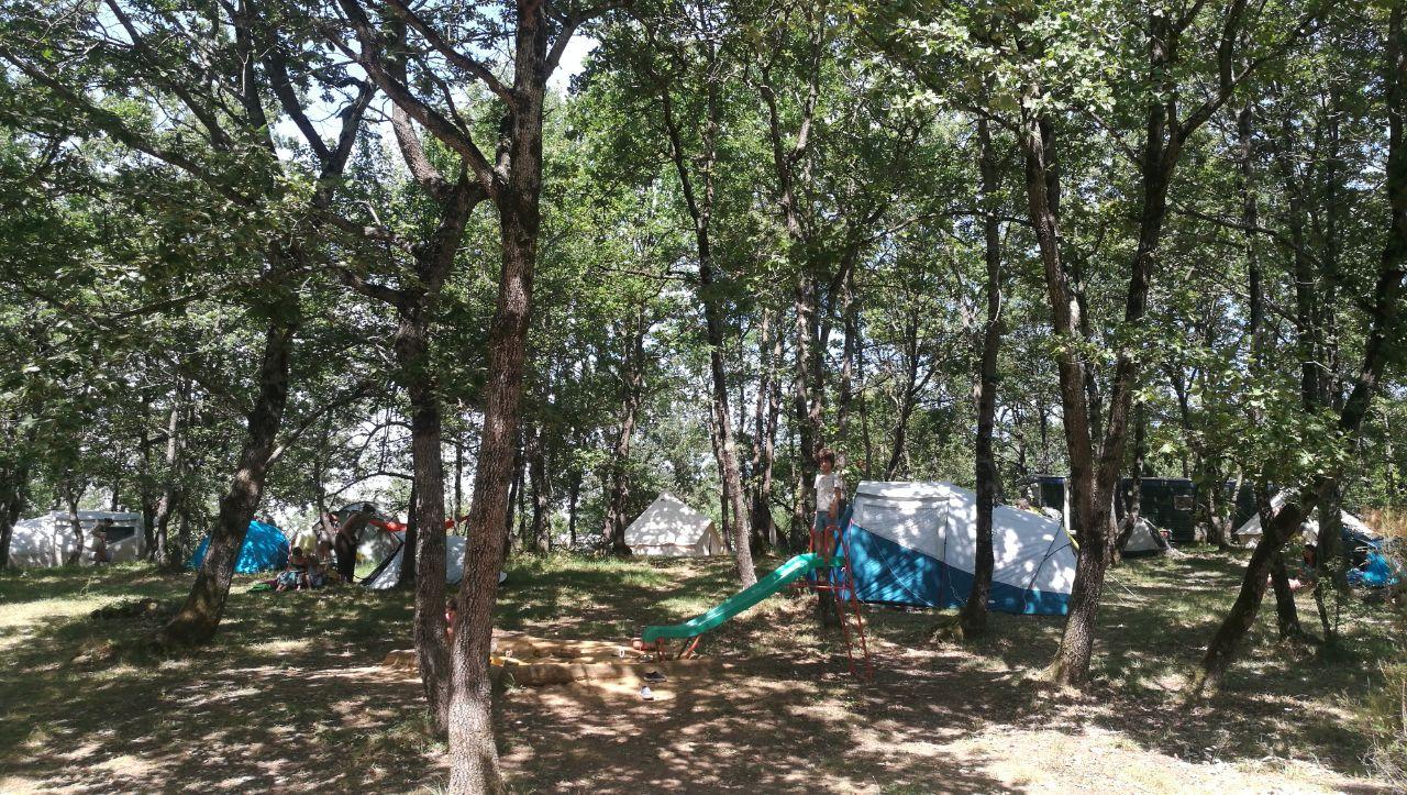 Hôte GreenGo: Le Nomade's land, école de vie sauvage et camping des bois - Image 8