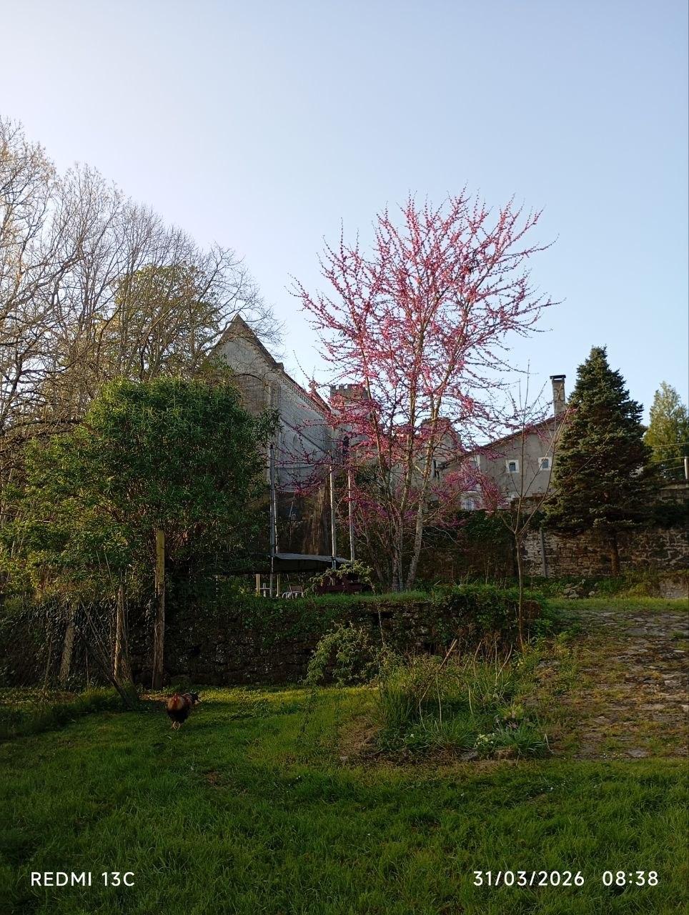  Charente À la campagne