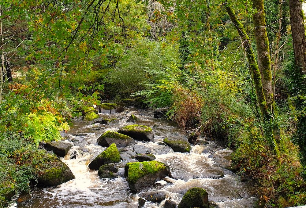 Hôte GreenGo: Domaine du Bandiat - Image 7