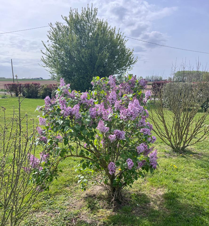  Nord À la campagne