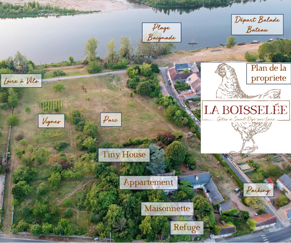 Carte cadeau GreenGo