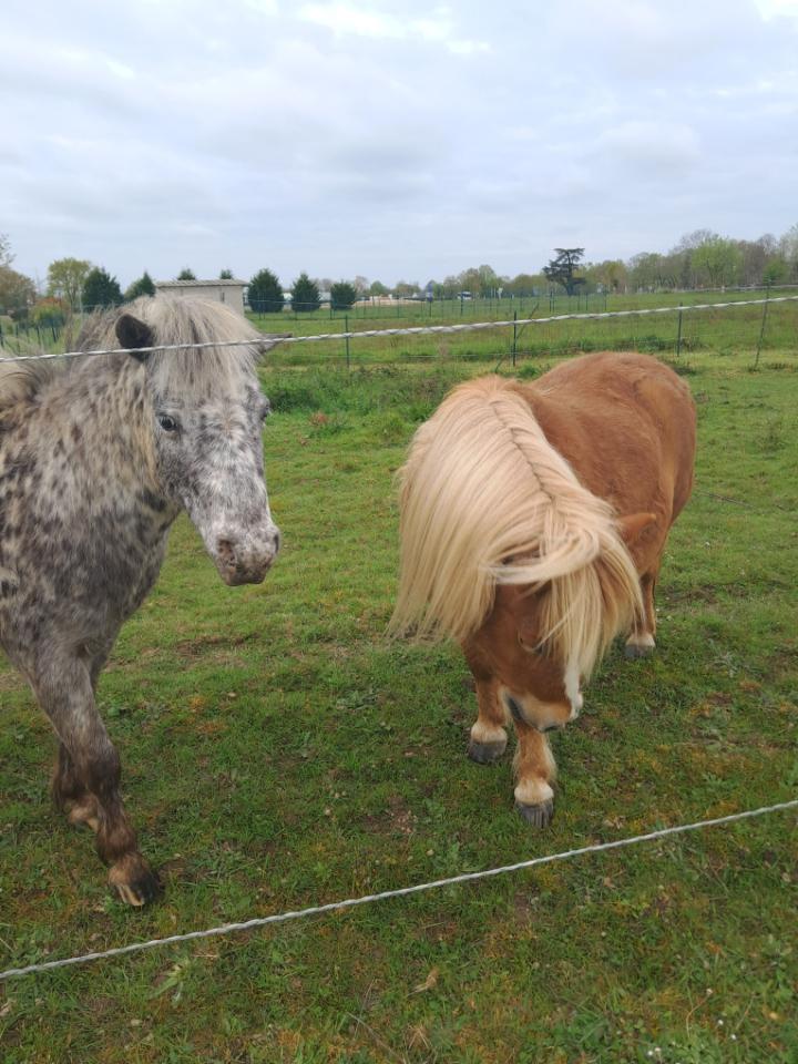 Carte cadeau GreenGo